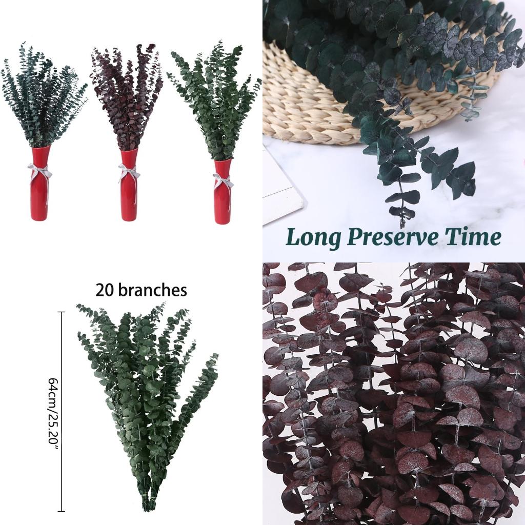 Eucalyptus Preserved - 20 шт. консервированные для свежих ветвей