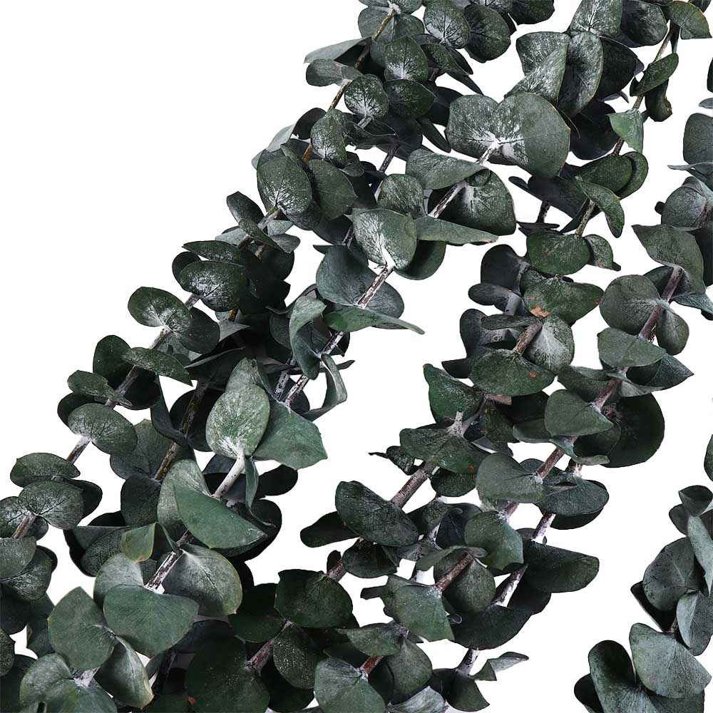 10 шт. натуральных листьев эвк – обзор и цена Eucalyptus Preserved