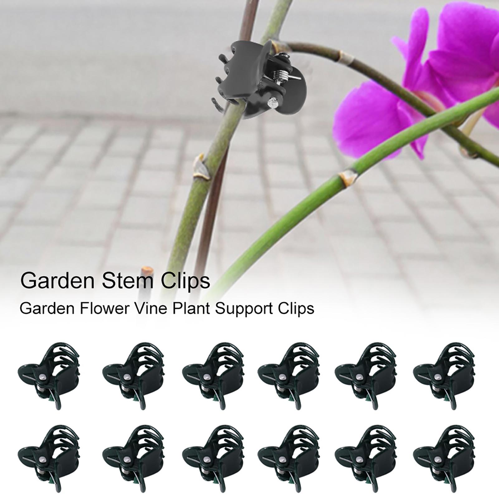 100 шт., мини-зажимы для расте – обзор и цена Florist Supply Bulk
